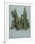 The Cypresses at the Villa D'Este, Tivoli (W/C and Gouache with Graphite on Paper)-Samuel Palmer-Framed Giclee Print