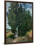 The Cypresses, c.1889-90-Vincent van Gogh-Framed Giclee Print