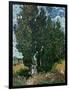 The Cypresses, c.1889-90-Vincent van Gogh-Framed Giclee Print