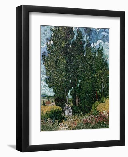 The Cypresses, c.1889-90-Vincent van Gogh-Framed Premium Giclee Print