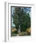 The Cypresses, c.1889-90-Vincent van Gogh-Framed Premium Giclee Print