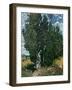 The Cypresses, c.1889-90-Vincent van Gogh-Framed Giclee Print