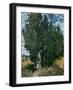 The Cypresses, c.1889-90-Vincent van Gogh-Framed Giclee Print