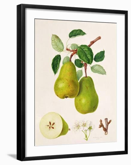 The D'Auch Pear, 1817-William Hooker-Framed Giclee Print