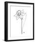 The Daffodil-Hanna Lee Tidd-Framed Giclee Print