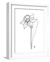 The Daffodil-Hanna Lee Tidd-Framed Giclee Print