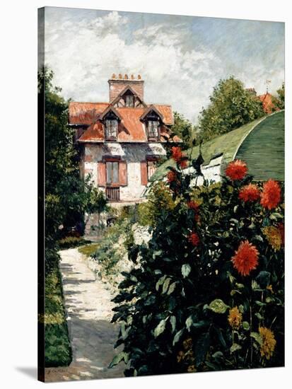 The Dahlias, Garden at Petit Gennevilliers, 1893-Gustave Caillebotte-Stretched Canvas