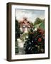 The Dahlias, Garden at Petit Gennevilliers, 1893-Gustave Caillebotte-Framed Giclee Print