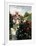 The Dahlias, Garden at Petit Gennevilliers, 1893-Gustave Caillebotte-Framed Giclee Print