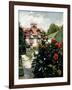 The Dahlias, Garden at Petit Gennevilliers, 1893-Gustave Caillebotte-Framed Giclee Print