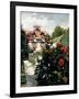 The Dahlias, Garden at Petit Gennevilliers, 1893-Gustave Caillebotte-Framed Giclee Print