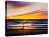 The Daily Round-Josh Adamski-Stretched Canvas