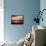 The Daily Round-Josh Adamski-Framed Stretched Canvas displayed on a wall