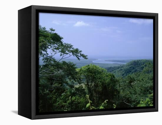 The Daintree Rainforest, Cape Tribulation National Park, Queensland, Australia-Fraser Hall-Framed Stretched Canvas