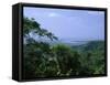 The Daintree Rainforest, Cape Tribulation National Park, Queensland, Australia-Fraser Hall-Framed Stretched Canvas