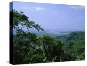 The Daintree Rainforest, Cape Tribulation National Park, Queensland, Australia-Fraser Hall-Stretched Canvas