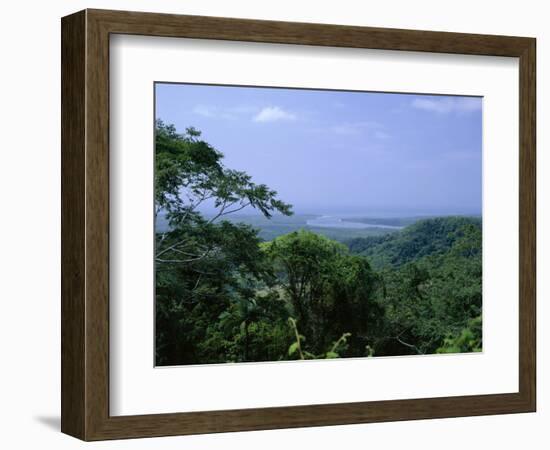 The Daintree Rainforest, Cape Tribulation National Park, Queensland, Australia-Fraser Hall-Framed Photographic Print