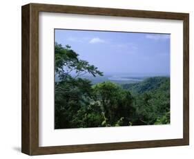 The Daintree Rainforest, Cape Tribulation National Park, Queensland, Australia-Fraser Hall-Framed Photographic Print