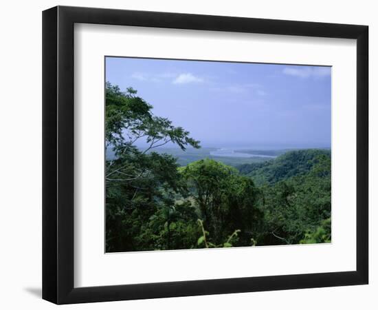 The Daintree Rainforest, Cape Tribulation National Park, Queensland, Australia-Fraser Hall-Framed Photographic Print