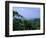 The Daintree Rainforest, Cape Tribulation National Park, Queensland, Australia-Fraser Hall-Framed Photographic Print