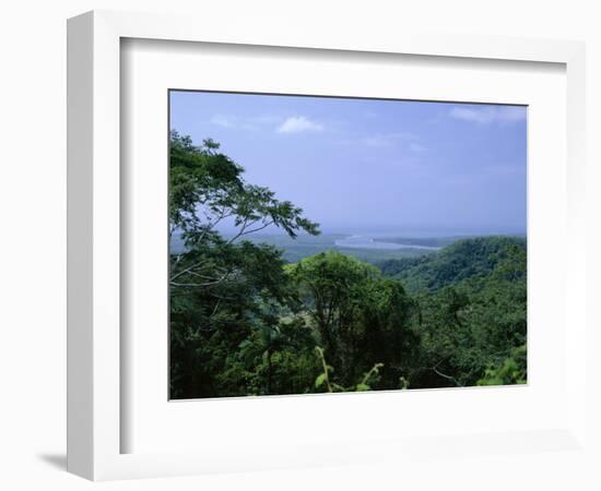 The Daintree Rainforest, Cape Tribulation National Park, Queensland, Australia-Fraser Hall-Framed Photographic Print