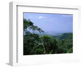 The Daintree Rainforest, Cape Tribulation National Park, Queensland, Australia-Fraser Hall-Framed Photographic Print