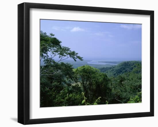 The Daintree Rainforest, Cape Tribulation National Park, Queensland, Australia-Fraser Hall-Framed Photographic Print