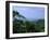 The Daintree Rainforest, Cape Tribulation National Park, Queensland, Australia-Fraser Hall-Framed Photographic Print