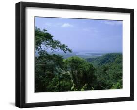 The Daintree Rainforest, Cape Tribulation National Park, Queensland, Australia-Fraser Hall-Framed Photographic Print