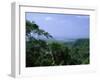 The Daintree Rainforest, Cape Tribulation National Park, Queensland, Australia-Fraser Hall-Framed Photographic Print