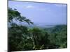 The Daintree Rainforest, Cape Tribulation National Park, Queensland, Australia-Fraser Hall-Mounted Photographic Print