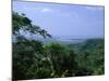 The Daintree Rainforest, Cape Tribulation National Park, Queensland, Australia-Fraser Hall-Mounted Photographic Print