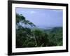 The Daintree Rainforest, Cape Tribulation National Park, Queensland, Australia-Fraser Hall-Framed Photographic Print