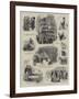The Dairy Show at the Agricultural Hall-null-Framed Giclee Print