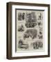 The Dairy Show at the Agricultural Hall-null-Framed Giclee Print