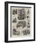 The Dairy Show at the Agricultural Hall-null-Framed Giclee Print