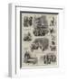 The Dairy Show at the Agricultural Hall-null-Framed Giclee Print