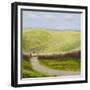 The Daisy-Chris Ross Williamson-Framed Giclee Print