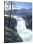 The Dam-Linda Braucht-Stretched Canvas