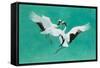 The Dance-Green-Tim Hayward-Framed Stretched Canvas