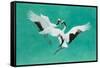 The Dance-Green-Tim Hayward-Framed Stretched Canvas