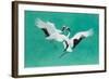 The Dance-Green-Tim Hayward-Framed Giclee Print