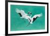 The Dance-Green-Tim Hayward-Framed Giclee Print