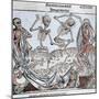 The Dance of Death (1493) by Michael Wolgemut, from the Liber Chronicarum by Hartmann Schedel-Prisma Archivo-Mounted Photographic Print