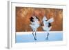 The Dance of Love-C. Mei-Framed Photographic Print