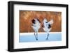 The Dance of Love-C. Mei-Framed Photographic Print