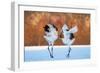 The Dance of Love-C. Mei-Framed Photographic Print