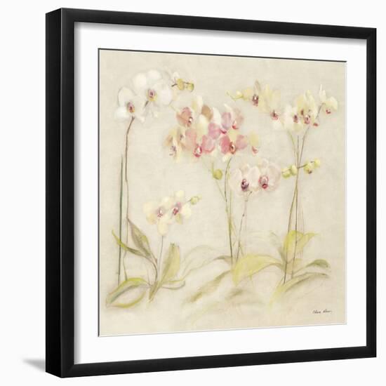 The Dance of the Orchids I-Cheri Blum-Framed Art Print