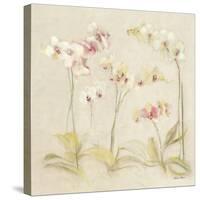 The Dance of the Orchids II-Cheri Blum-Stretched Canvas