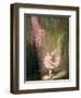 The Dance of the Sugar-Plum Fairy, 1908-9-Glyn Warren Philpot-Framed Giclee Print